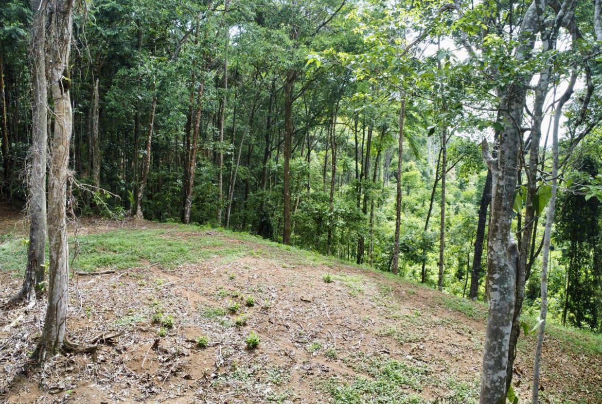 OCEAN AND FOREST VIEW PROPERTY MINUTES TO THE BEACH – 5.11 ACRES